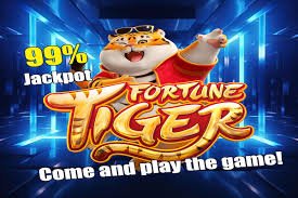 omg app